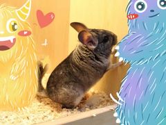 -龙猫仔乐园(惠福东路店)