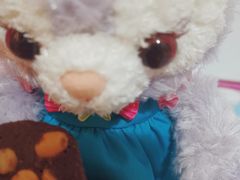 -珍妮曲奇聪明小熊(尖沙咀店)