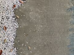 樱花瓣-浔味·山屿湖·正宗淳牌全鱼宴老字号