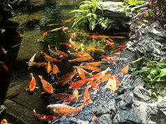 -广州白天鹅宾馆