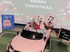 -百好乐宠物友好餐厅(朝外大街店)