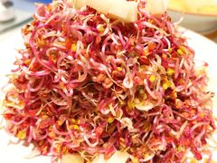 萝卜苗-巷子里小酒馆(繁荣路店)