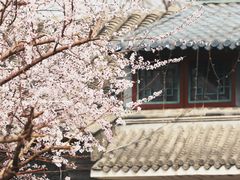 -三里河公园