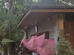 -野象谷景区