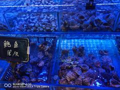 -渔民船说·北塘海鲜·天津菜·海肠捞饭(北塘古镇店)