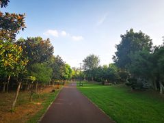 景点-艾溪湖湿地公园