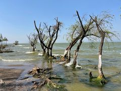 -捞渔河湿地公园