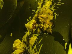 -EATALIA意塔利意式餐厅(鼓楼店)