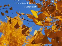 -东升八家郊野公园