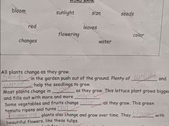 -奇尔思青少儿·语言·艺术·演讲(顾戴路店)