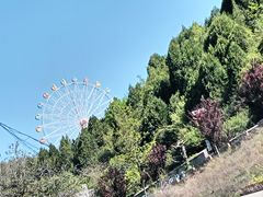 -铜川市金锁关石林