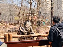 -大连森林动物园