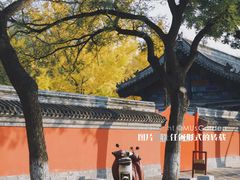 -北京国子监胡同