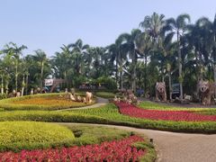 -东芭乐园