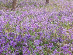 -瀛海足球主题公园