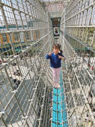 -季高兔窝窝亲子园(上海薰衣草公园店)