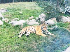-西安秦岭野生动物园