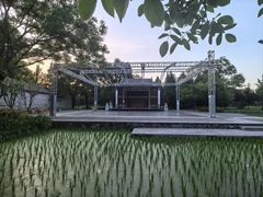 -北坞公园