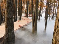 -东湖落雁景区