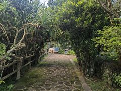 -海口火山口国家地质公园