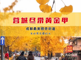 成都最美秋天 | 蓉城尽带黄金甲·锦里西路