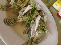 清蒸野生桂鱼-小河湾酒店