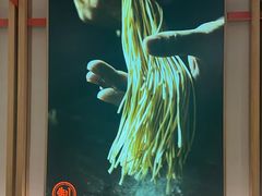 -味千拉面(光启城时尚购物中心店)