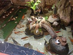 -许榴香西餐厅(台东步行街店)