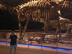 -世界恐龙谷景区