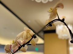 -人间采蜜(海信广场店)