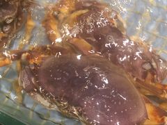 -新海利大酒店(拱北口岸店)