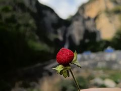 -青龙山生态文化旅游区(慈云寺)