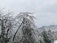 -瓦屋山景区