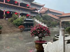 -开福禅寺