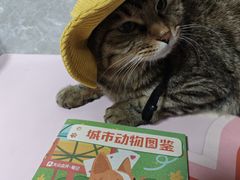 -瑞虹新天地月亮湾