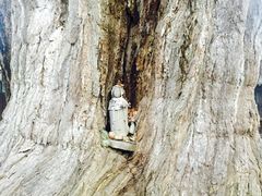 -医王山·飞騨国分寺