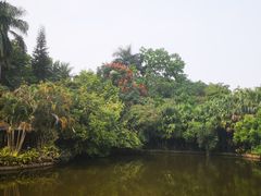 -滴水岩森林公园