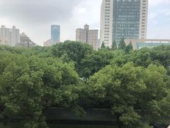 -上海交通大学医学院附属瑞金医院(总院)