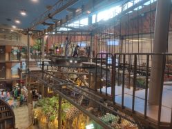 -卡通尼·Safari非洲探索乐园·生日会(金桥国际商业广场店)