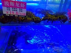 -兄弟爬爬虾(北京路店)