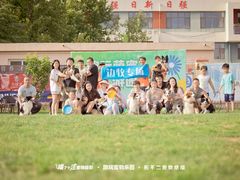 -趣玩宠物乐园寄养训犬训狗游泳池