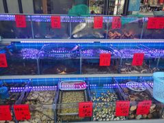 -金海湾海鲜排档(朱家尖店)