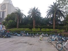 -江西科技学院