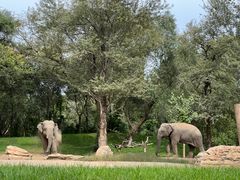 -北京野生动物园