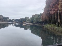 -鹿鸣酒家(越秀店)