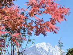 -黑龙潭公园