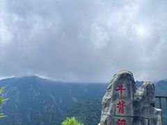 -牛背梁国家森林公园