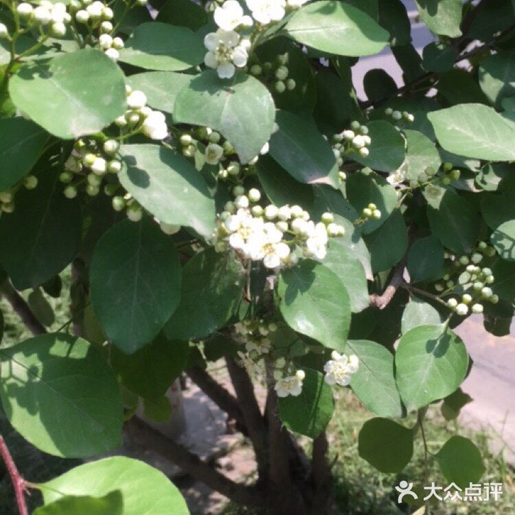 夜幕低垂、繁星少歇，拎着一袋猫粮和两块炸带鱼来找咪咪