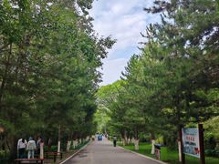 -青藏高原野生动物园