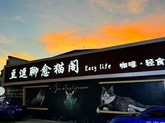-豆逗聊愈猫阁Easy Life